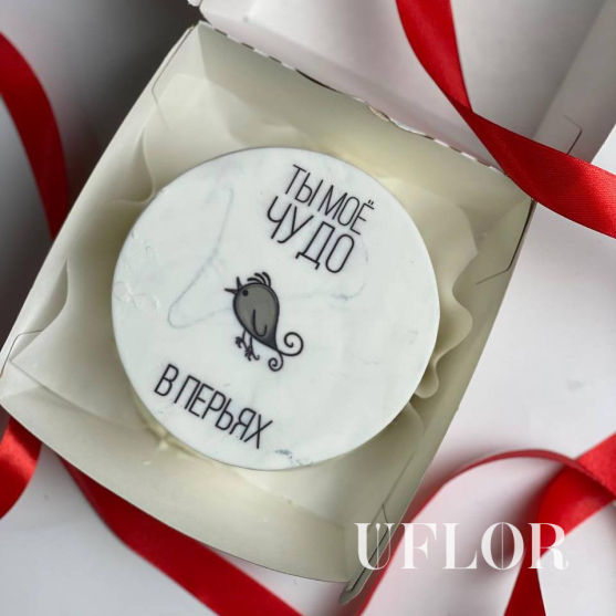 Бенто-торт Ты мое чудо в перьях