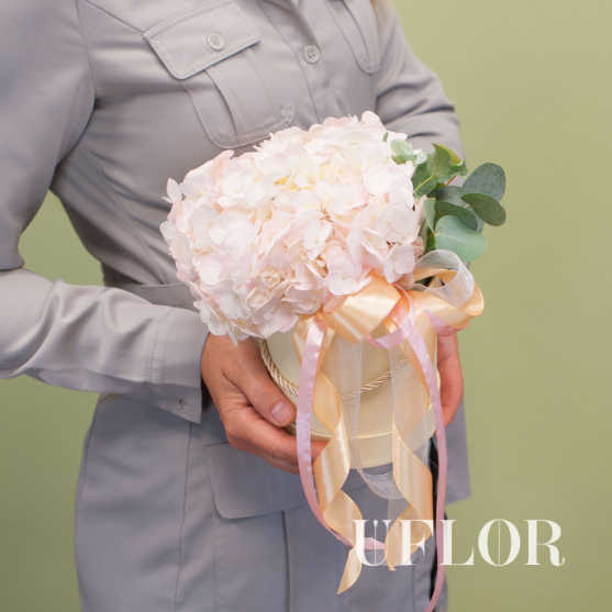 Нежно-розовая гортензия