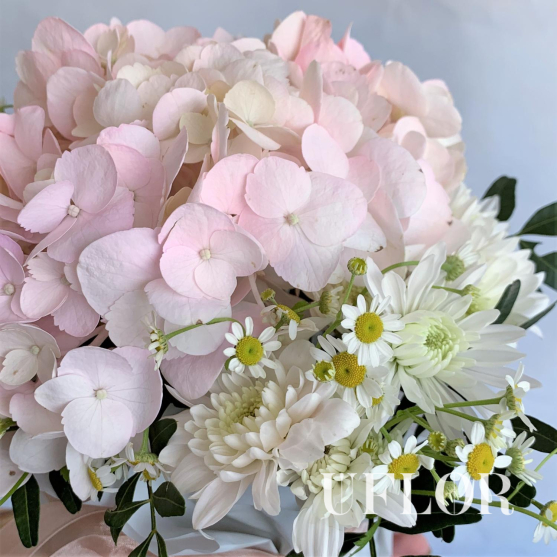 Персиковый раф