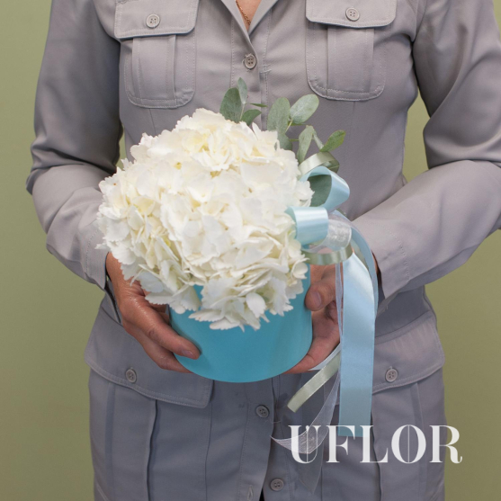 Белая гортензия