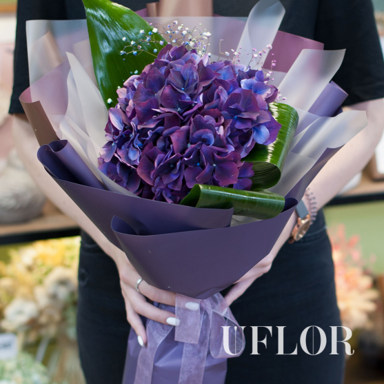 Фиолетовая гортензия