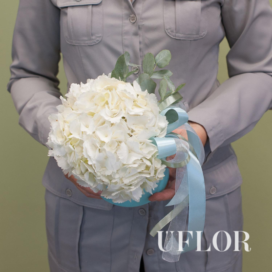 Белая гортензия